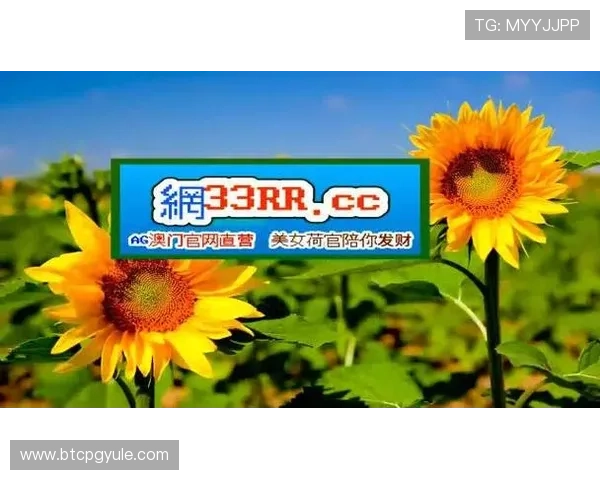 如何通过BG视讯APP实现快速充值与提现保障资金安全提升游戏体验的实用技巧