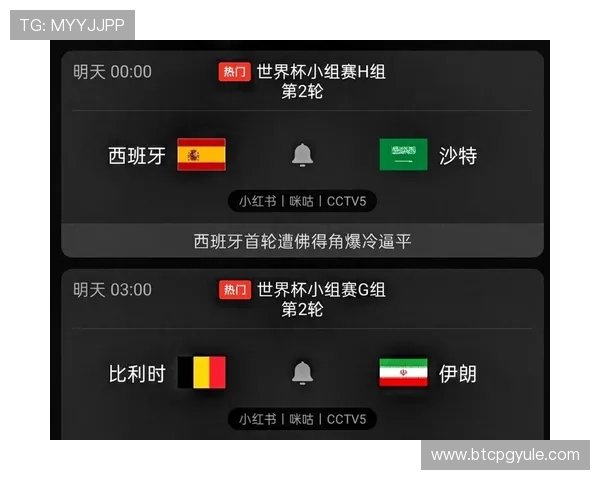 世界杯比利时对阵伊朗比赛精彩集锦与赛后数据统计分析